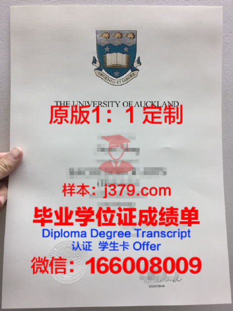 奥克兰大学博士奖学金：开启全球顶尖研究之路